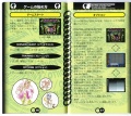 Chaotix jp manual 16 17.jpg