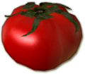 SU Tomato.png