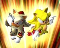 Super Sonic & Super Shadow.jpg