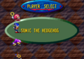 Sonic in Chaotix - 001.png