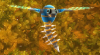 Dragonfly (Sonic Generations 3DS).png